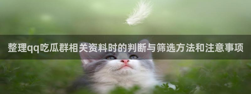 每日吃瓜