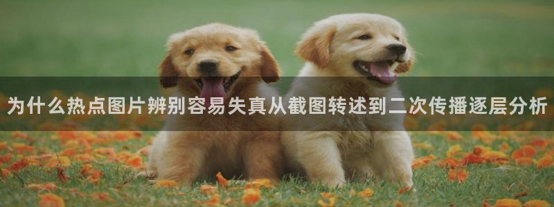 51吃瓜动态