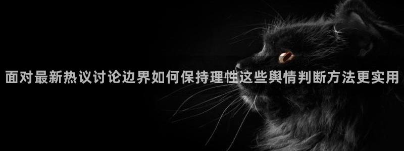今日网络热点