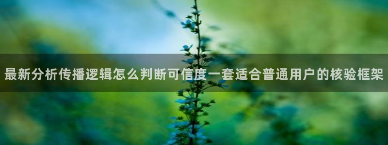 网络吃瓜热点